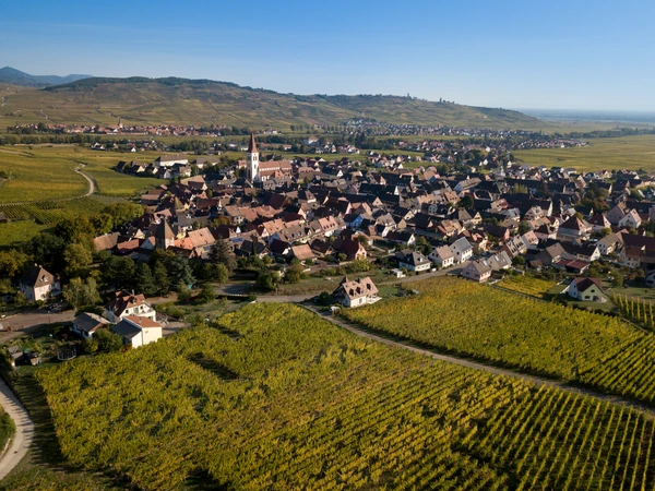 Photographie professionnelle d'une vue aérienne ou paysagère de la région d'Ammerschwihr en Alsace, montrant le village ou ses environs avec les vignobles et collines caractéristiques du Haut-Rhin, dans une perspective qui suggère la couverture géographique d'intervention du chauffagiste. L'image doit être claire, ensoleillée et représenter l'environnement rural/semi-rural où opère l'entreprise ADAO.